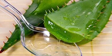 aloe zukua hanketako barizeak tratatzeko